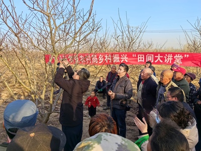 協同發展譜新篇 建好“菜園子” 豐盈“菜籃子” 衡水桃城區高品質果蔬產業蓬勃發展